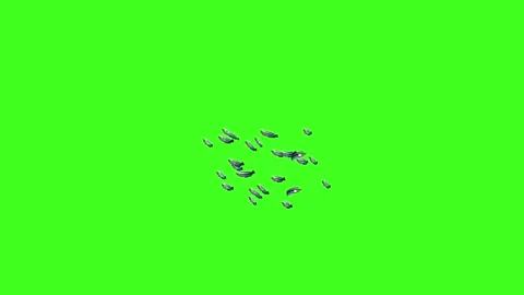 FISH SMALL BLUE GROUP BIG,Fish Swim Green Screen Video, 3D Animation, Underw Stock Footage 209911212