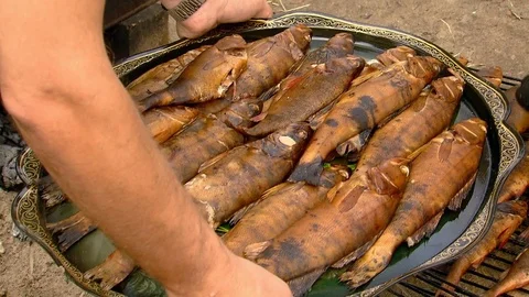 Fish Smoking Process For Home Use. Smoked Mackerel. Close Up Smoking Process Stock Footage 82272498