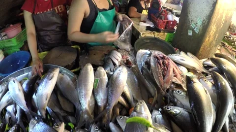 Fish sold and packed in plastic bag Stock-Footage 68713563