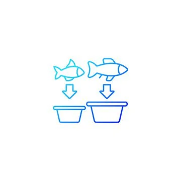 Fish sorting gradient linear vector icon Illustrazione stock