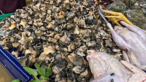 Fish Sorting at a Seafood Market Stock Footage 281150348
