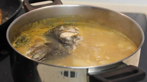 Fish soup Stock Footage 22685501