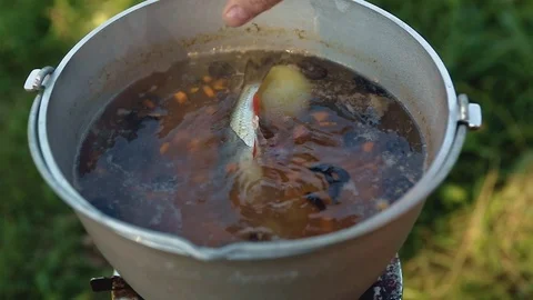 Fish soup in a pot Stock-Footage 100809246