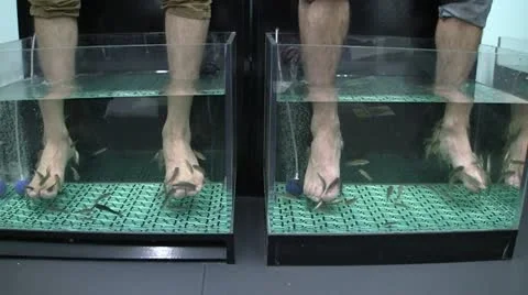 Fish Spa 動画素材 11516949