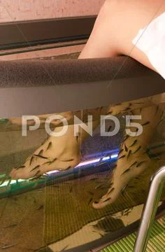 Fish spa pedicure Stock Photos