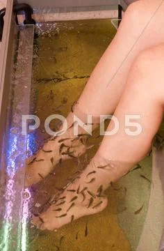 Fish spa pedicure Stock Photos