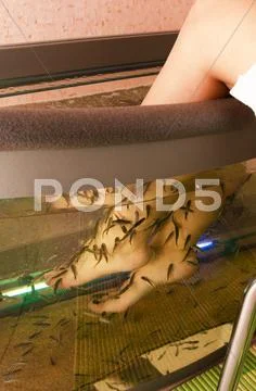 Fish spa pedicure Stock Photos