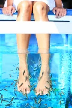 Fish Spa pedicure Stock Photos