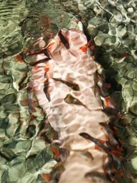 Fish spa 스톡 사진
