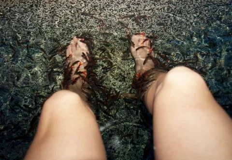 Fish spa 스톡 사진