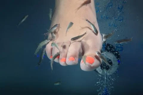 Fish spa Stock Photos