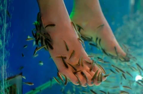Fish spa Stock Photos