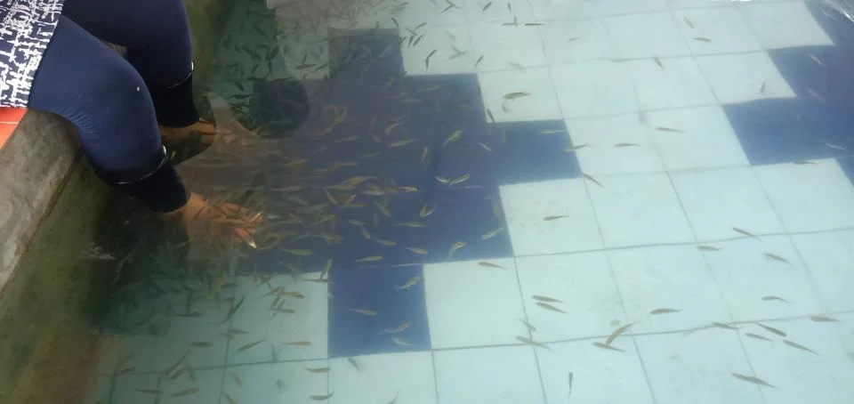 Fish Spa Stock Photos