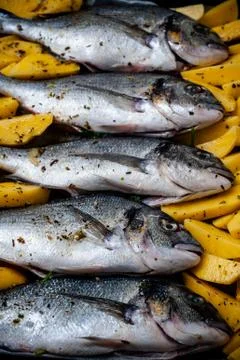 Fish Sparus aurata for baking with potatoes and greens Stock Photos