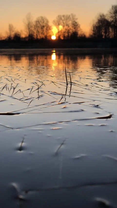 Fish splash on sunrise vertical shot for background Stock Footage 137328166