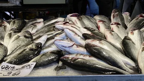 Fish stall Stock Footage 83620092