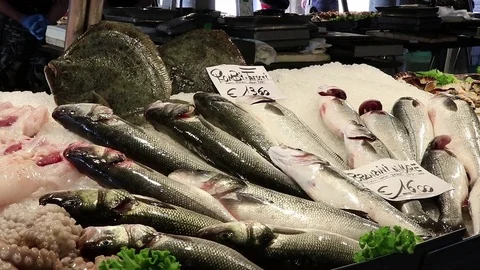Fish stall Stock Footage 83620208