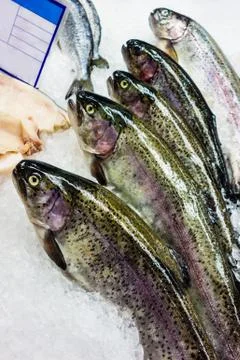 Fish stall Stock Photos