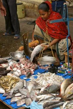 Fish Stall Stock Photos