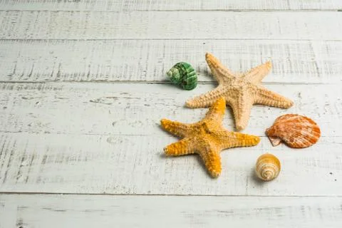 Fish star and sea shells on the wooden background Stock Photos