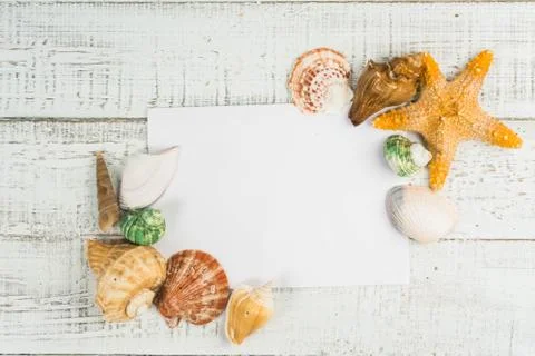 Fish star and sea shells on the wooden background Stock Photos