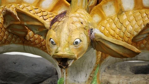 Fish statue in a fountain Stock Footage 72471186