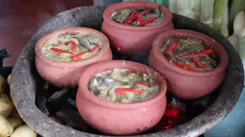 Fish stock on the stove Stock Footage 69185906