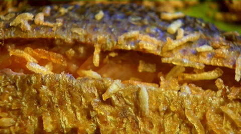 Fish stuffed with rice Stock Footage 58238481