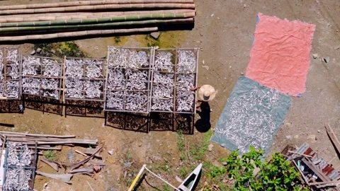 Fish Sun-Drying Industry Aerial View - Placer Docks Stock Footage 299867736