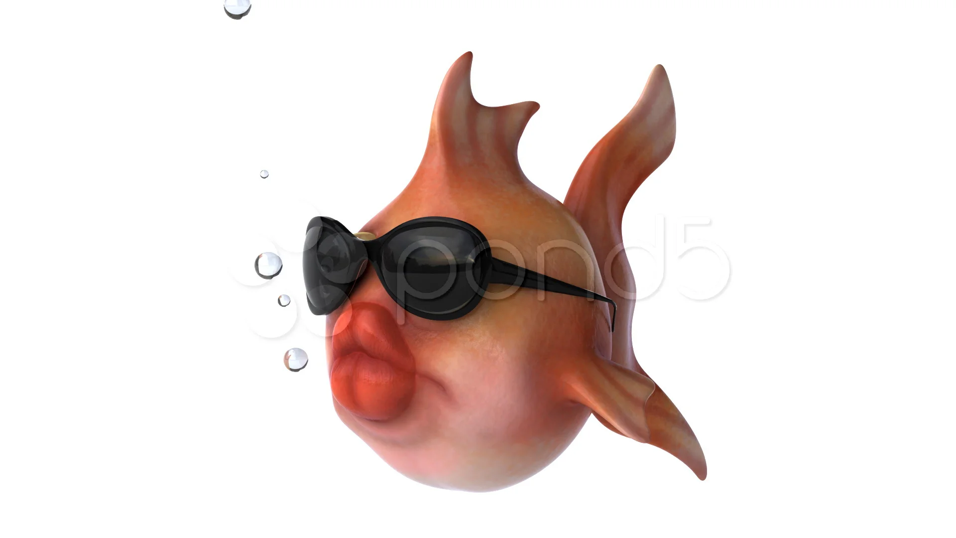 Fish with sunglasses | Stock Video | Pond5