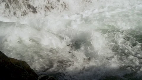 The fish swim hard on the rocks of the stream and migrate upstream to spawn. Stock Footage 241015018