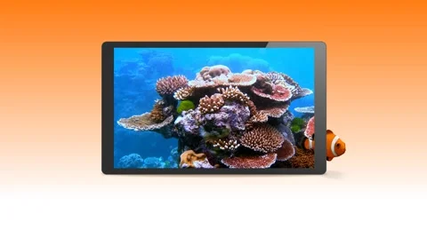 Fish swim out of the screen Видео 42330482