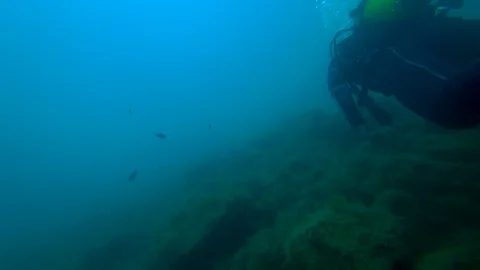 Fish swim towards divers Stock Footage 99419207
