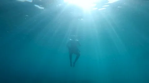 Fish swimming around a man floating on water rays of sunlight bottom of sea POV Stock Footage 104687773