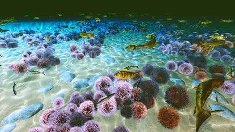 Fish swimming at the bottom of the ocean Video stock 87325507