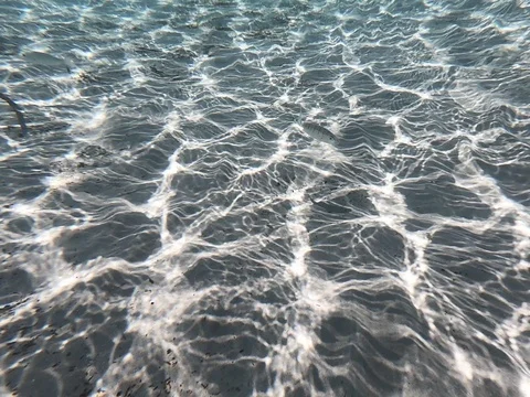 Fish swimming freely in a beautiful sea. Stock Footage