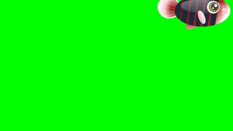 Fish Swimming Isolated Green Screen Stock Video Stock Footage 336959167