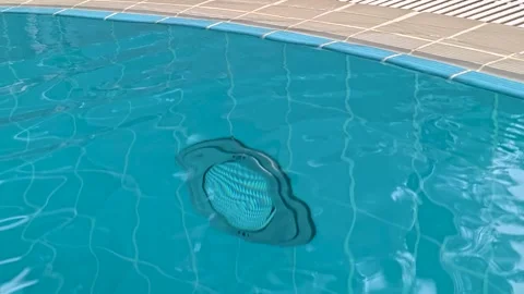 A fish swimming in a pool with a net in the background Stock Footage 345989111