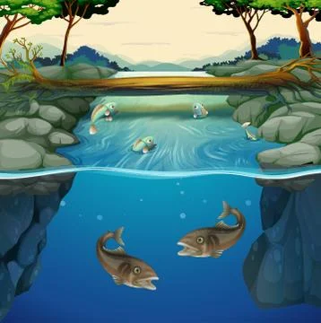 Fish swimming in the river Ilustración de archivo