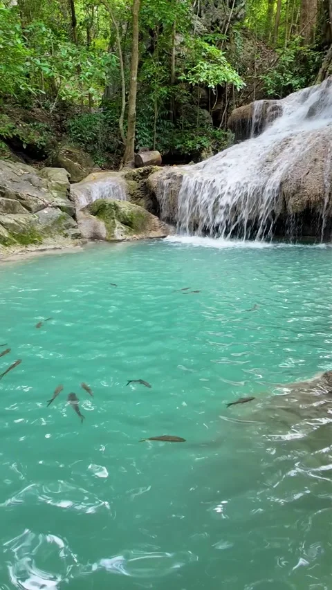 Fish Swimming In Turquoise Waterfall Pool At Erawan National Park Thailand Vídeos de archivo 339078170