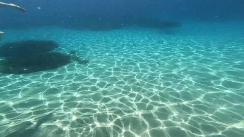 Fish swimming under the deep blue sea Stock Footage 171965439