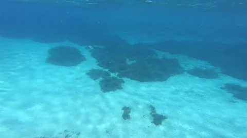 Fish swimming under the deep blue sea Stock Footage 172012704