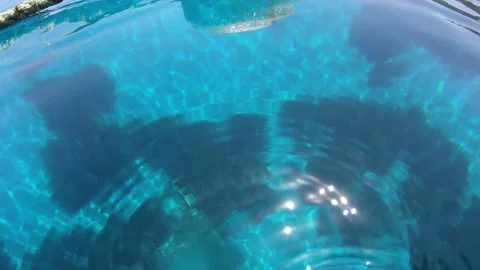 Fish swimming under the deep blue sea Stock Footage 172013915