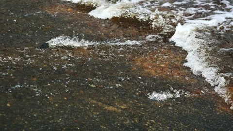 Fish swimming upstream ascend to higher ground Stock Footage 292858294