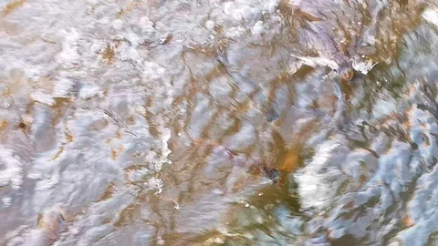 Fish Swims Against Currents Stock Footage 106893835