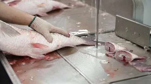 Fish tail cutting machine working in a factory video with sound Stock Footage 253687762