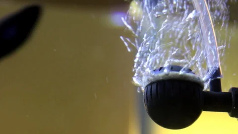 Fish Tank Air Bubbles Stock Footage 122624276