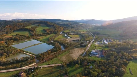 Fish Tank Video stock 122337751