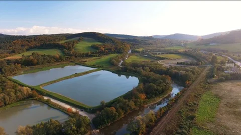 Fish Tank Stock Footage 122337777