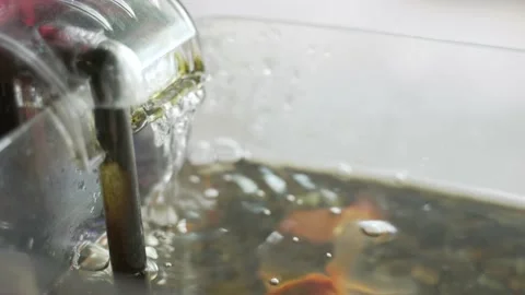 Fish tank water flow running pump Video stock 171782757
